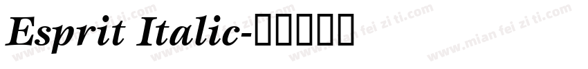 Esprit Italic字体转换